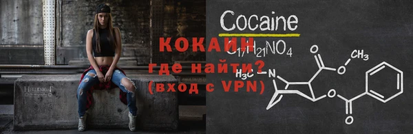 индика Аркадак