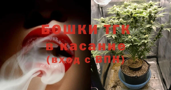 индика Аркадак