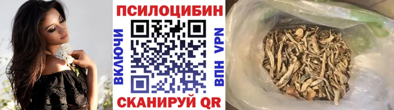 даркнет сайт  MEGA сайт  Псилоцибиновые грибы Psilocybine cubensis  Карасук 